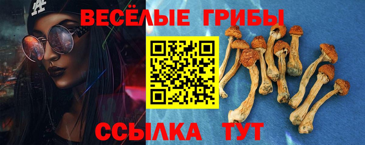 магазин    Галлюциногенные грибы Cubensis  Вход с VPN  Тихвин 